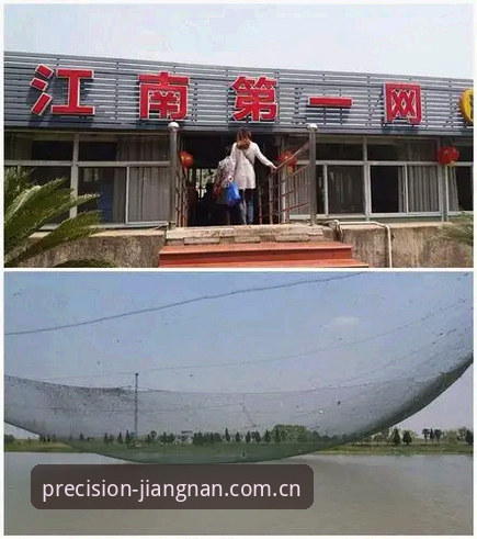 江南体育中国区官方入口下载全面解析：从用户反馈到体验升级的真实路径